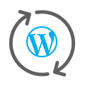Get Automatic WP Plugin Updates with Our CodeGuard Website Backup Service