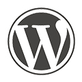 Our WordPress Hosting Comes with Pre-installed WordPress