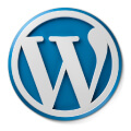 VPS Plesk Hosting Has Simplified WordPress Management
