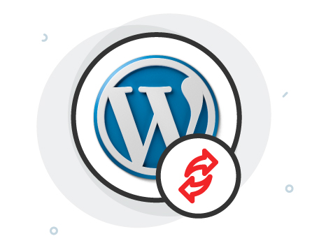 Automatic WordPress Updates with Our Wordpress Hosting Packages